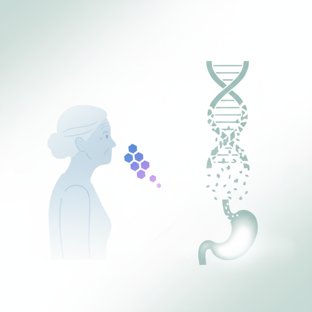 나이 들수록 근육 안 붙는 이유, 위산 감소가 핵심이다