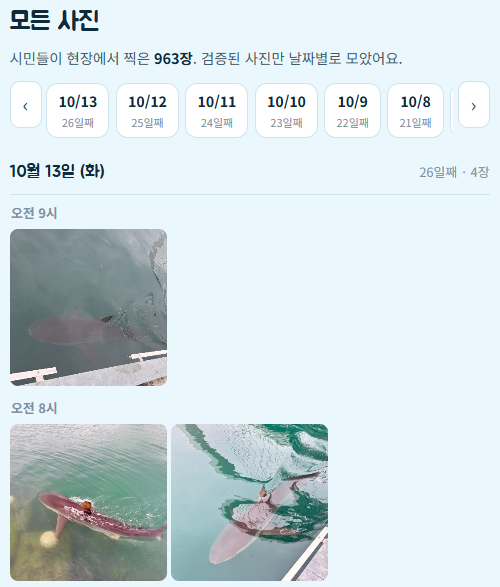 생성된 이미지