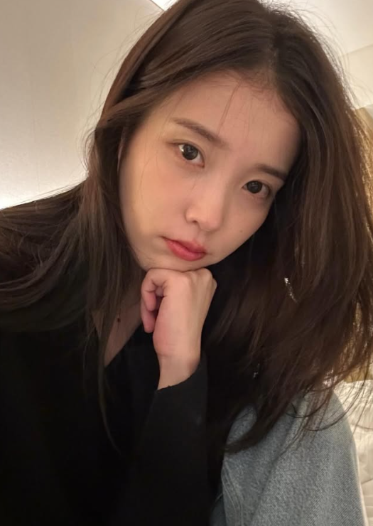아이유 목소리가 곧 장르...음원 차트를 매료시킨 피처링 명곡 5선