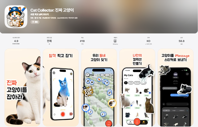 길고양이 사진 찍으면 수집 완료? 요즘 뜨는 고양이 수집 앱 Cat Collector 완전 정리