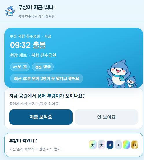 부캉이 지금 있나? 부산 상어 실시간 목격 위치·사진 무료 사이트