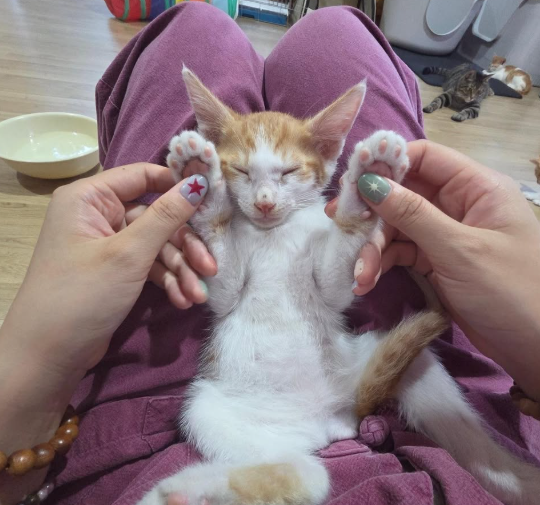 묘적사 템플스테이 1박 3만 원부터, 행복두배 예약부터 프로그램까지 총정리
