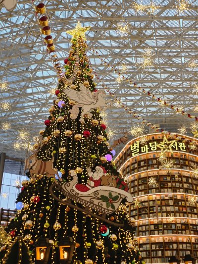 크리스마스로 물든 별마당 도서관, 반짝이는 책의 성당에서 보낸 겨울 오후